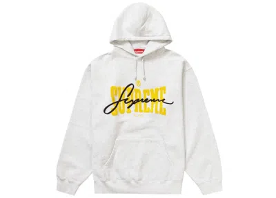 Pre-owned Supreme Men's  Embroidered Chenille Hooded Sweatshirt In Ash Grey