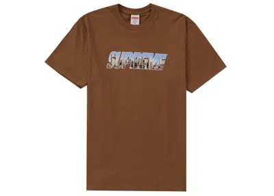 Pre-owned Supreme Men's  Gotham Tee Shirt In Light Brown
