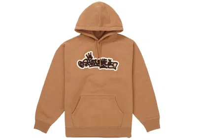 Pre-owned Supreme Men's  Handstyle Hooded Sweatshirt In Brown