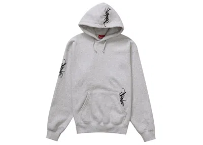 Pre-owned Supreme Men's  Tag Hooded Sweatshirt (ss24) Ash Heather In Ash Grey