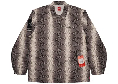 Pre-owned Supreme Men's  The North Face Snakeskin Taped Seam Coaches Jacket In Black