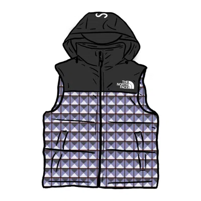 Pre-owned Supreme Men's  The North Face Studded Nuptse Vest In Royal