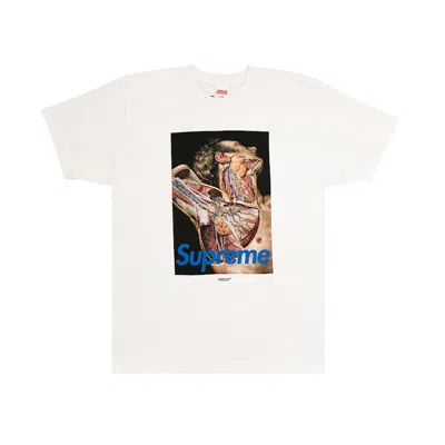 Pre-owned Supreme Men's  Undercover Anatomy Tee Shirt In White