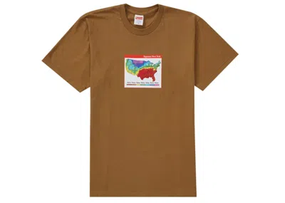 Pre-owned Supreme Men's  Weather Tee Shirt In Brown