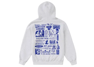 Pre-owned Supreme Men's  Wild Embroidered Hooded Sweatshirt In Ash Grey