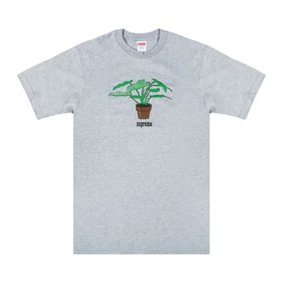 Pre-owned Supreme Plant T-shirt 'grey' In Gray