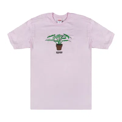 Pre-owned Supreme Plant T-shirt 'pink'