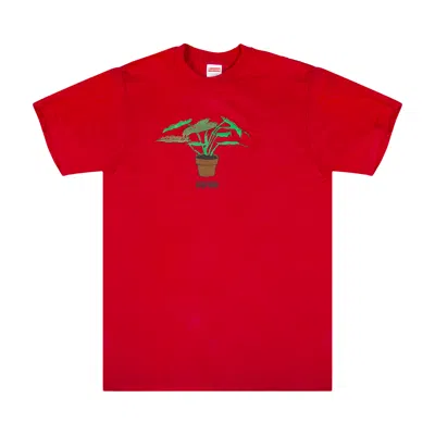 Pre-owned Supreme Plant T-shirt 'red'
