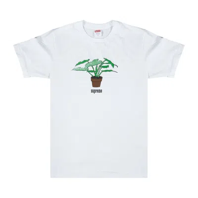 Pre-owned Supreme Plant T-shirt 'white'