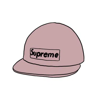 Pre-owned Supreme Raffia Camp Cap In Purple