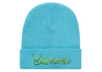 Pre-owned Supreme Shrek Beanie In Turquoise