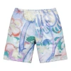 Supreme Ss18 Landscape Sweatshort Multicolor