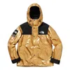 Supreme Ss18 The North Face Metallic Mountain Parka Gold X