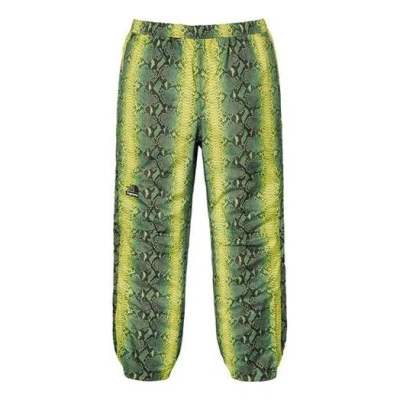 Supreme Ss18 The North Face Snakeskin Taped Seam Pant Green