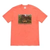 Supreme Ss20 Week 1 Masterpieces Tee In Orange