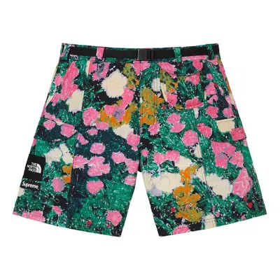 Supreme Ss22 Week 16 X The North Face Trekking Packable Belted Short In Multi