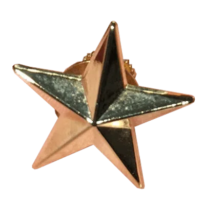 Pre-owned Supreme Star Pin (m51 Jacket Fw12) In Gold