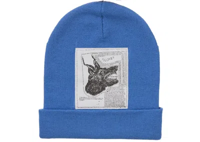 Pre-owned Supreme The North Face Beanie (fw24) In Blue