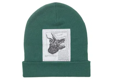 Pre-owned Supreme The North Face Beanie (fw24) In Green