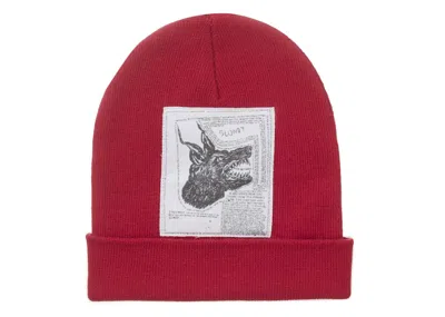 Pre-owned Supreme The North Face Beanie (fw24) In Red