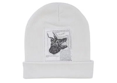 Pre-owned Supreme The North Face Beanie (fw24) In White