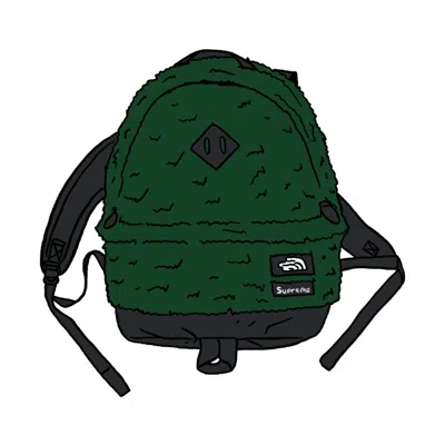 Pre-owned Supreme The North Face Faux Fur Backpack In Green