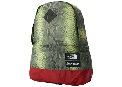 Pre-owned Supreme The North Face Snakeskin Lightweight Day Pack In Green