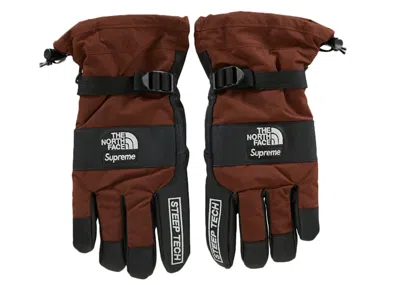 Pre-owned Supreme The North Face Steep Tech Gloves In Brown