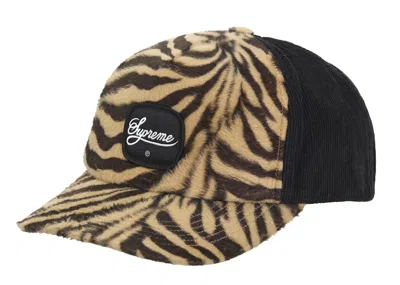 Pre-owned Supreme Tiger 5 Panel In Black