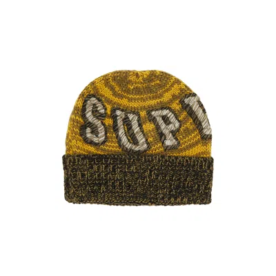 Pre-owned Supreme Twist Beanie 'brown'