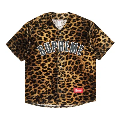 Pre-owned Supreme Velvet Baseball Jersey 'leopard' | Multi-color | Men's Size M