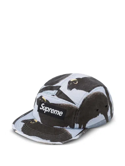 Supreme X Damien Hirst Camp Cap In Black