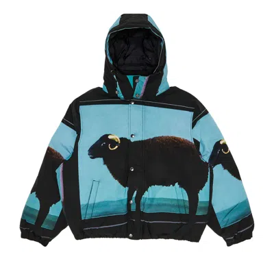 Pre-owned Supreme X Damien Hirst Down Puffer Jacket 'black' | Men's Size Xxl