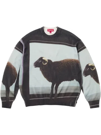 Supreme X Damien Hirst Intarsia-knit Sweater In 黑色