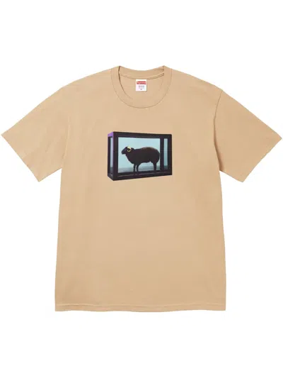 Supreme X Damien Hirst Printed T-shirt In Neutrals