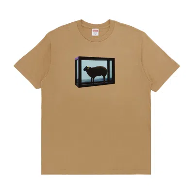 Pre-owned Supreme X Damien Hirst Tee 'khaki' | Tan | Men's Size Xxl