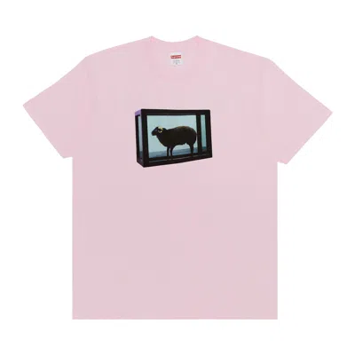 Pre-owned Supreme X Damien Hirst Tee 'light Pink' | Men's Size Xxl