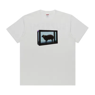 Pre-owned Supreme X Damien Hirst Tee 'white' | Men's Size M