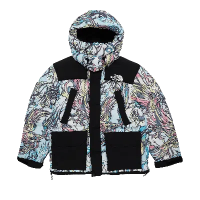 Pre-owned Supreme X The North Face 700-fill Down Parka 'multicolor Dragon' In Multi-color