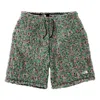 Supreme X The North Face High Pile Fleece Short 'multi-color' In Green