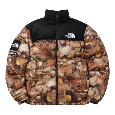 Supreme Multicolor Leaf Tnf Puffer Jacket In Brown