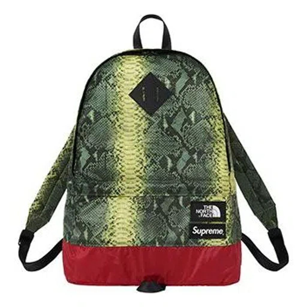 Supreme X The North Face Snakeskin Lightweight Day Backpack