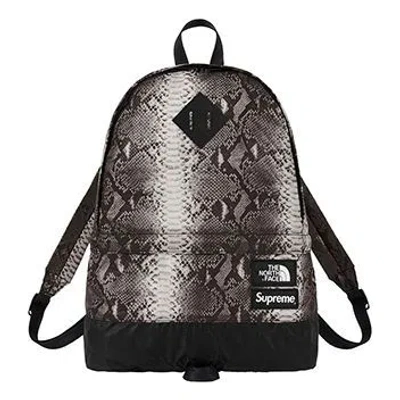 Supreme X The North Face Snakeskin Lightweight Day Backpack 'grey White' In Multi