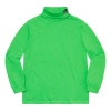 Supreme X The North Face Ss20 Week 3 Rtg Turtleneck In Green