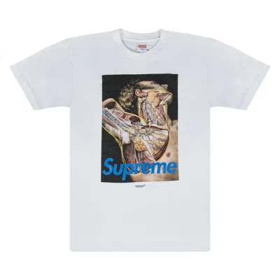 Pre-owned Supreme X Undercover Anatomy T-shirt 'white'