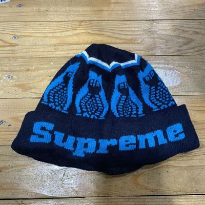 Pre-owned Supreme X Vintage F/w 2011supreme Owls Beanie In Blue