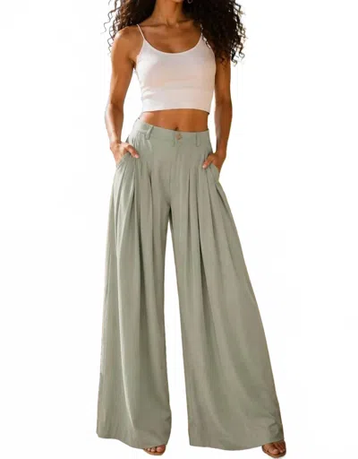 Surelymine Sage Horizon Wide-leg Palazzo Pants In Green