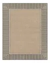Surya Alfresco Alf-n Area Rug, 8'10 X 12'10 In Brown