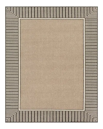 Surya Alfresco Alf-n Area Rug, 8'10 X 12'10 In Brown
