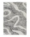 Surya Alta Shag Asg-2303 Area Rug, 2' X 3' In Charcoal